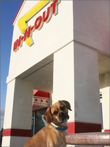 20090415_inandout.jpg