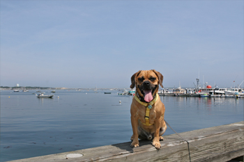 20090727_provincetown