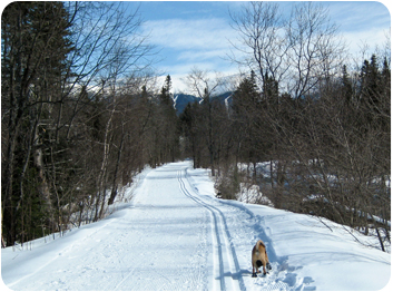 20100306_ski3