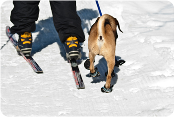 20100306_ski4